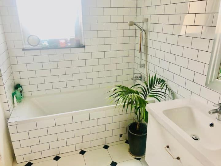 Stylowy Apartament W Centrum Miasta Bydgoszcz Dış mekan fotoğraf